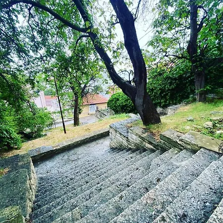Vista And Breeze In * Balčik