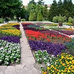 Vista And Breeze In *