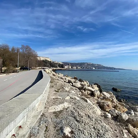Vista