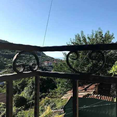 Vista And Breeze In Balcsik